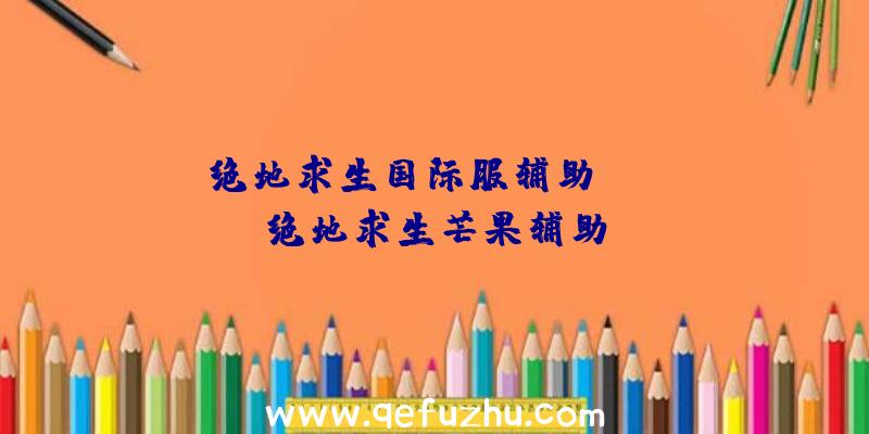 「绝地求生国际服辅助ios」|绝地求生芒果辅助
